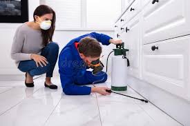 Real Estate Pest Inspections in Quinlan, TX